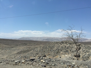 Nazca desert