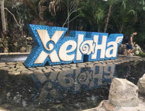 VIDEO of Xel Ha, water park in Mexico